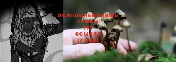 ПСИЛОЦИБИНОВЫЕ ГРИБЫ Медвежьегорск