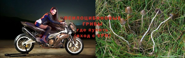 кокаин перу Нефтекумск