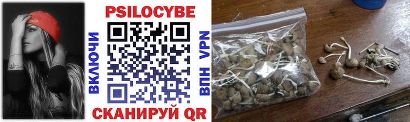 Псилоцибиновые грибы Psilocybe  Астрахань 