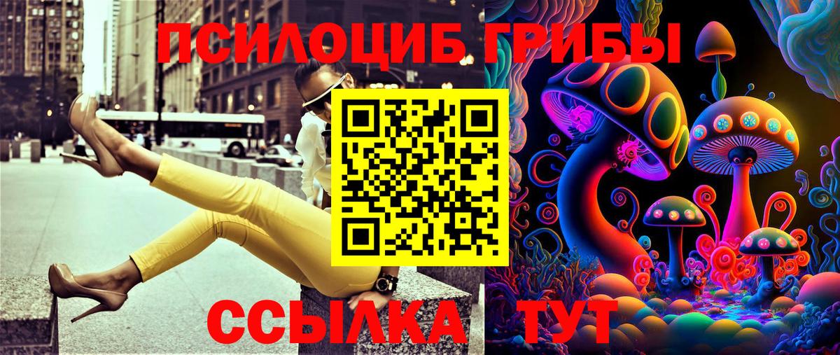 Галлюциногенные грибы мицелий Астрахань