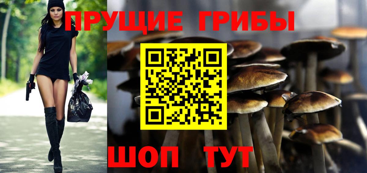 Галлюциногенные грибы мицелий  Галлюциногенные грибы Psilocybe  Астрахань  Вход с VPN 